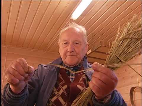 Lindyrking under Polarsirkelen